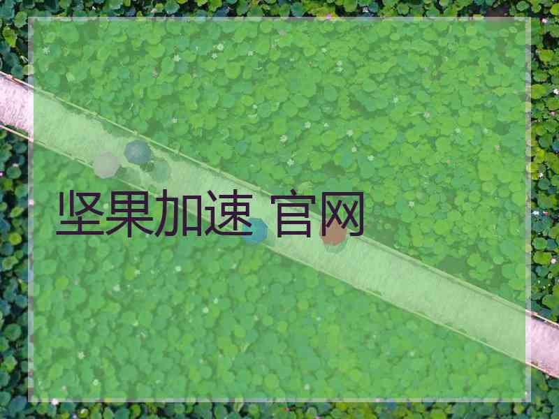 坚果加速 官网