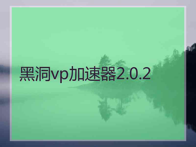 黑洞vp加速器2.0.2