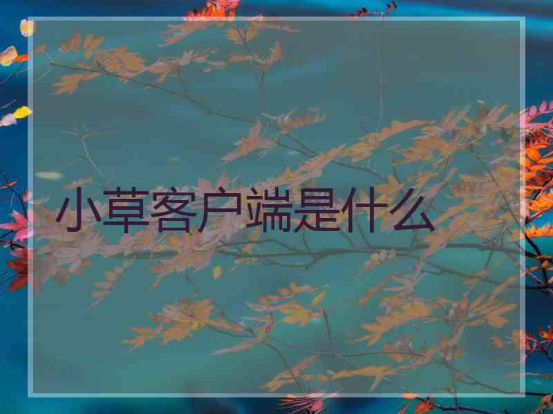 小草客户端是什么
