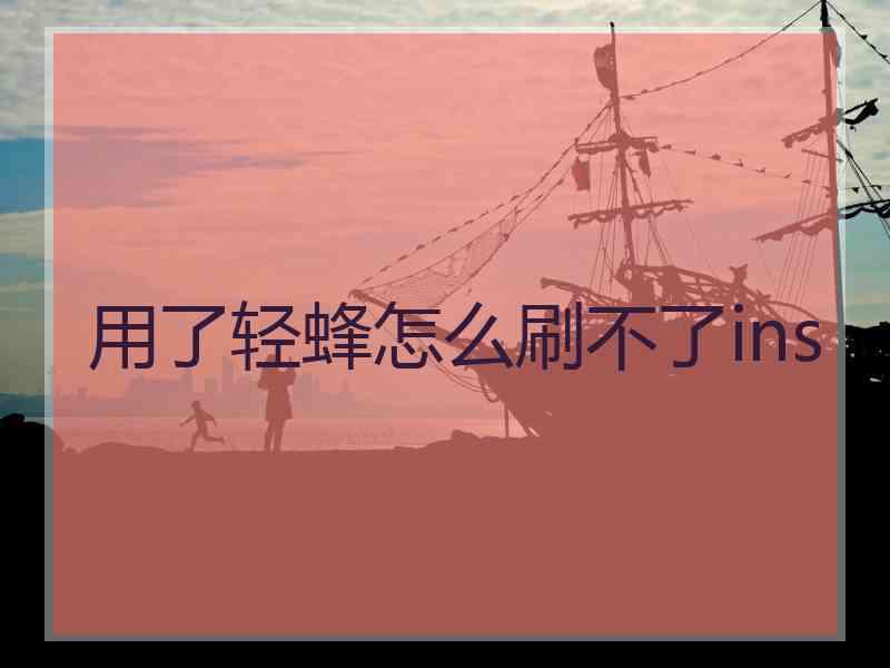 用了轻蜂怎么刷不了ins
