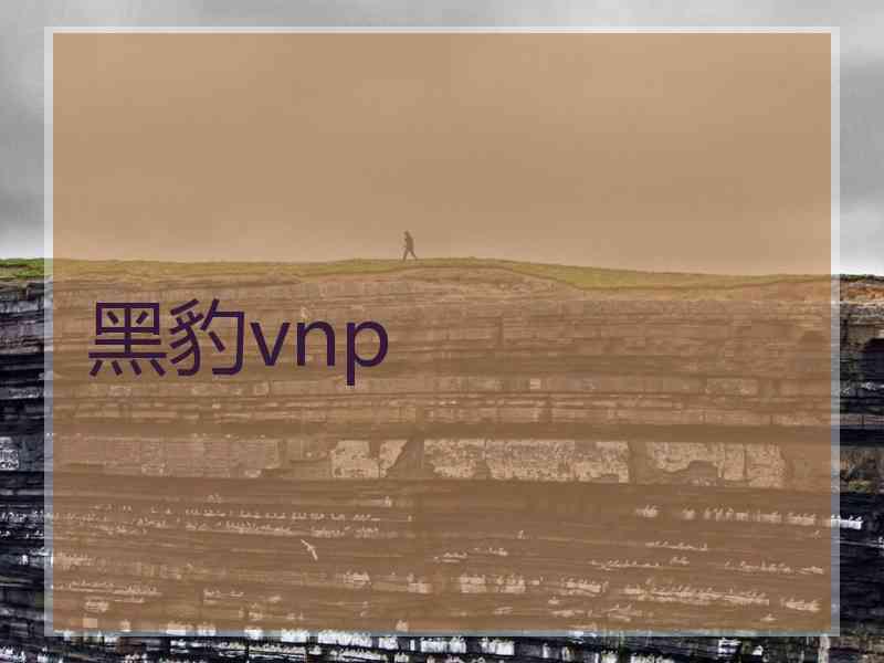 黑豹vnp
