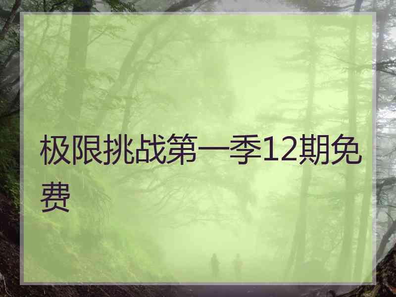 极限挑战第一季12期免费