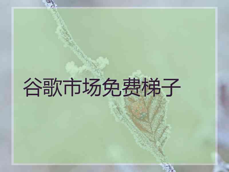 谷歌市场免费梯子