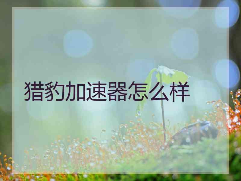 猎豹加速器怎么样