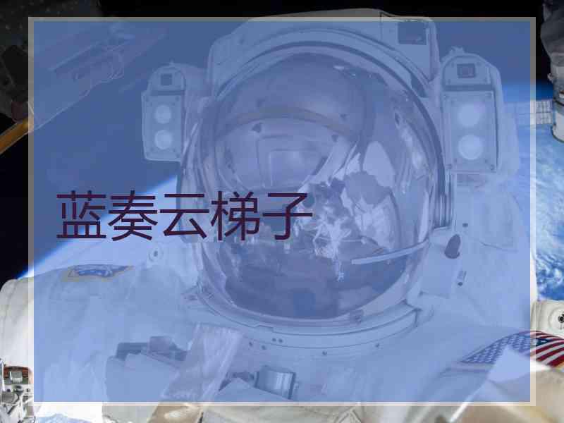 蓝奏云梯子