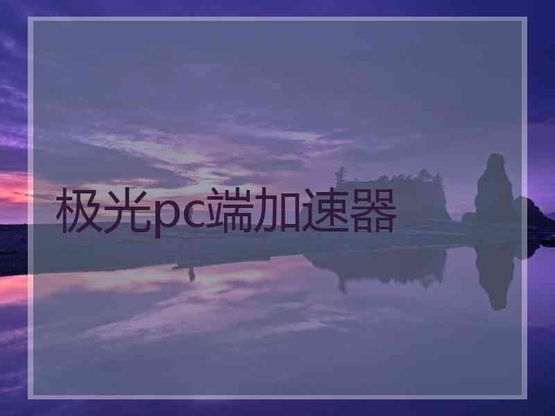 极光pc端加速器