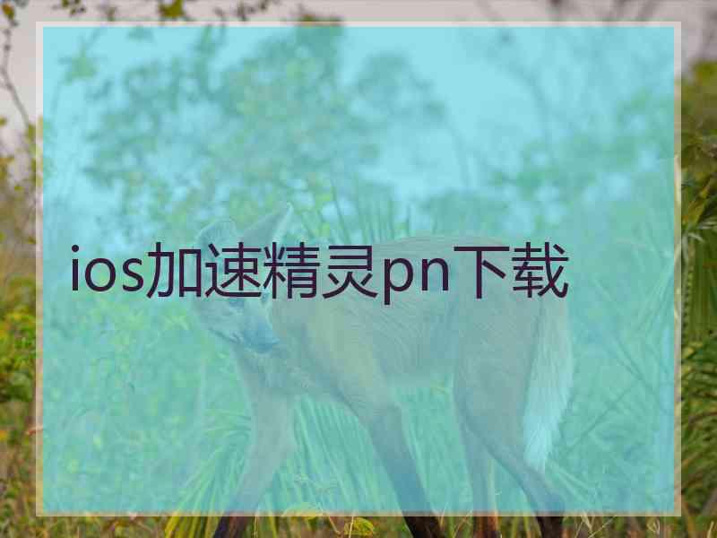 ios加速精灵pn下载