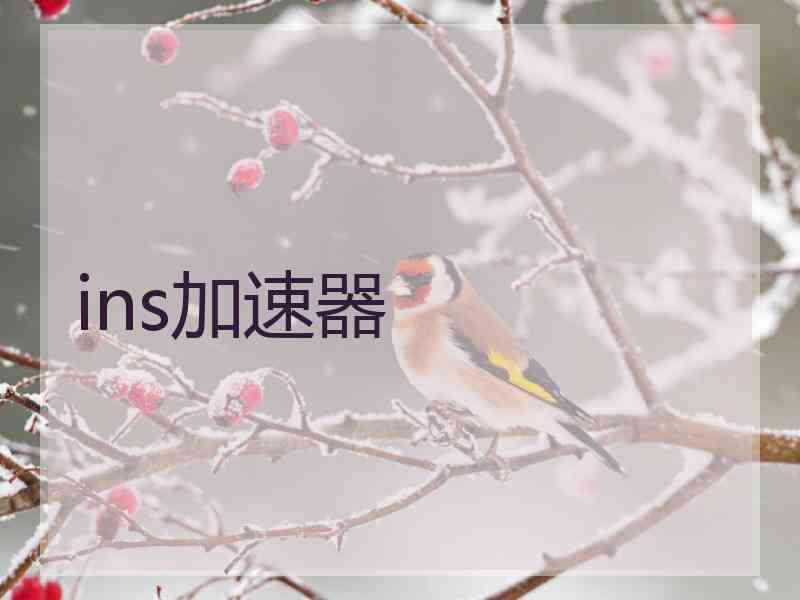 ins加速器