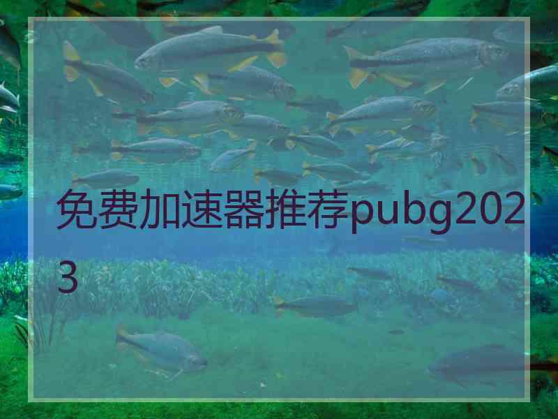 免费加速器推荐pubg2023