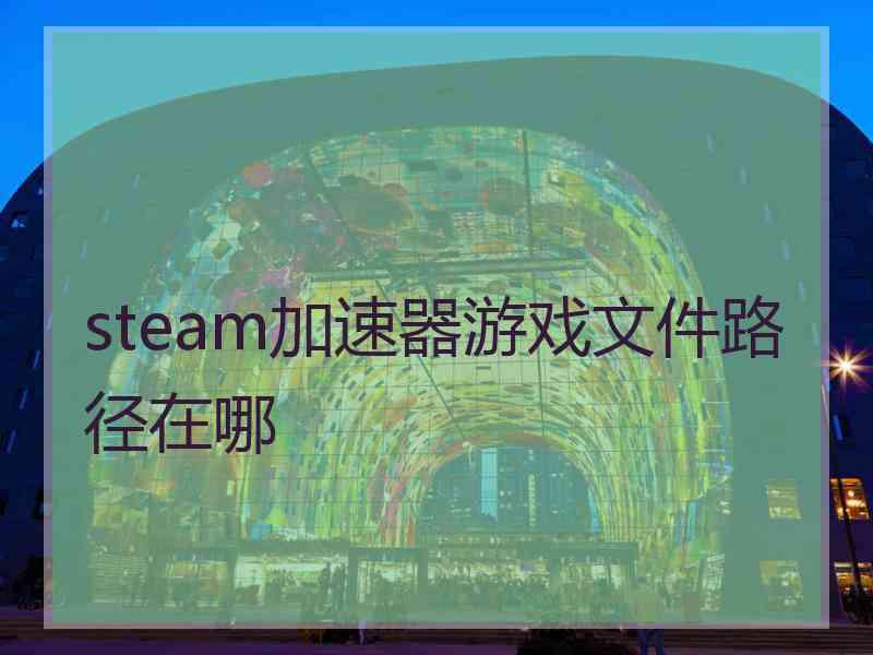 steam加速器游戏文件路径在哪