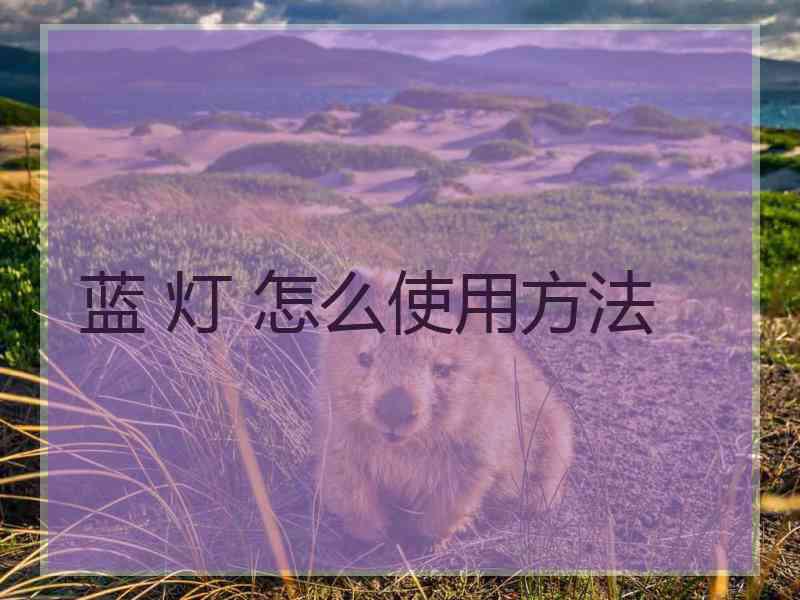 蓝 灯 怎么使用方法