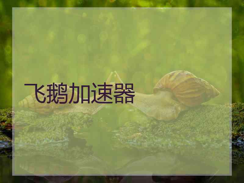 飞鹅加速器