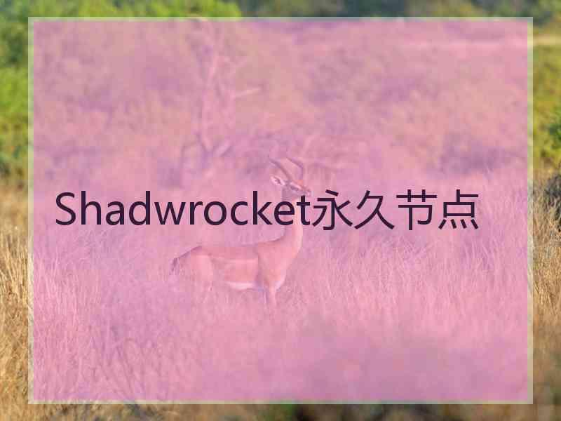Shadwrocket永久节点