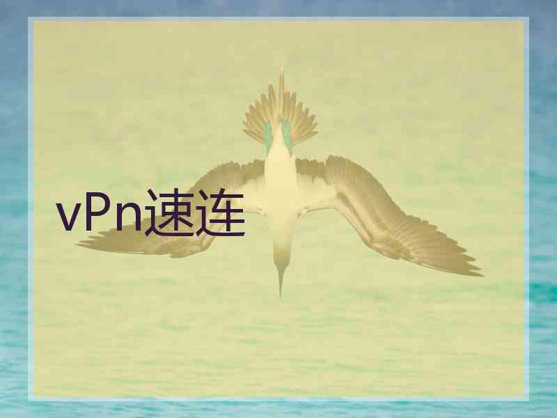 vPn速连
