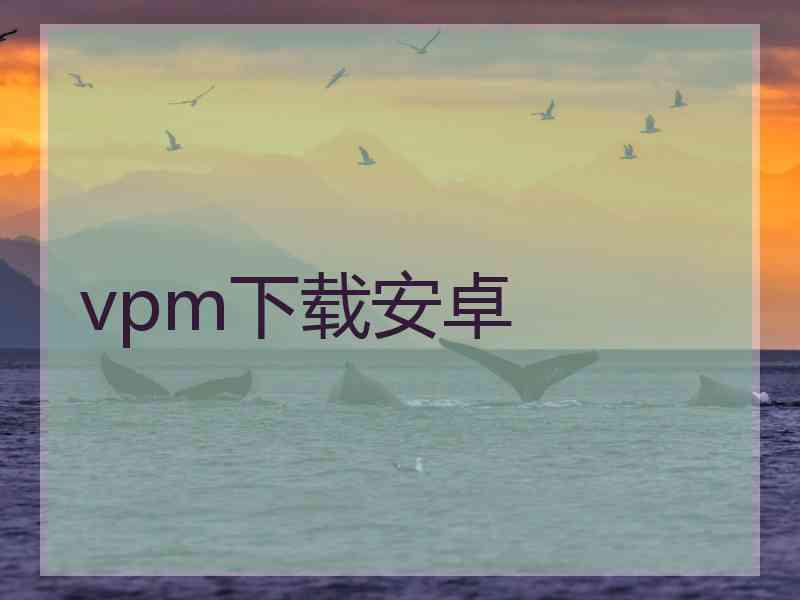 vpm下载安卓