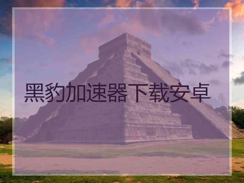 黑豹加速器下载安卓