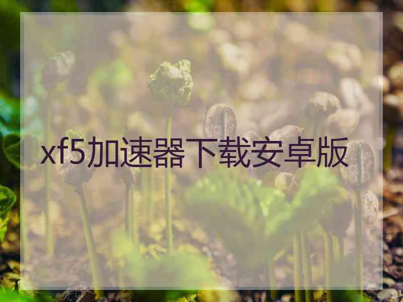 xf5加速器下载安卓版