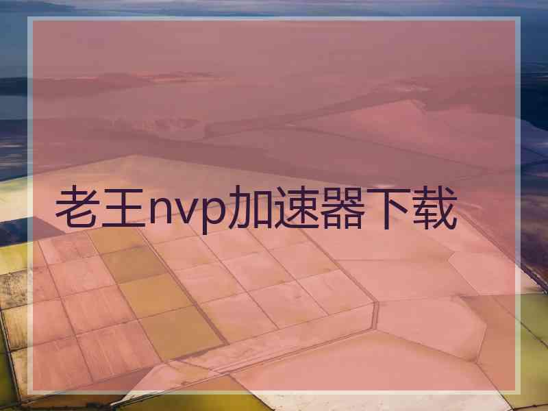 老王nvp加速器下载