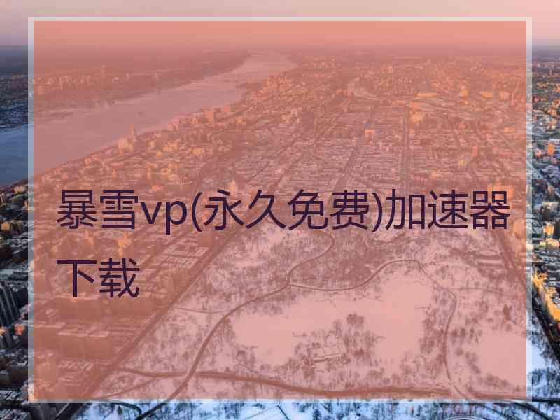 暴雪vp(永久免费)加速器下载