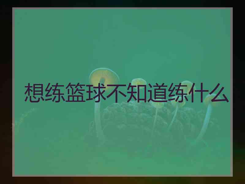 想练篮球不知道练什么