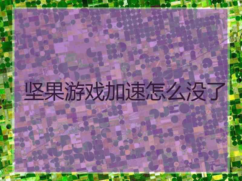 坚果游戏加速怎么没了