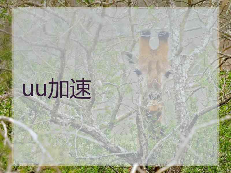 uu加速