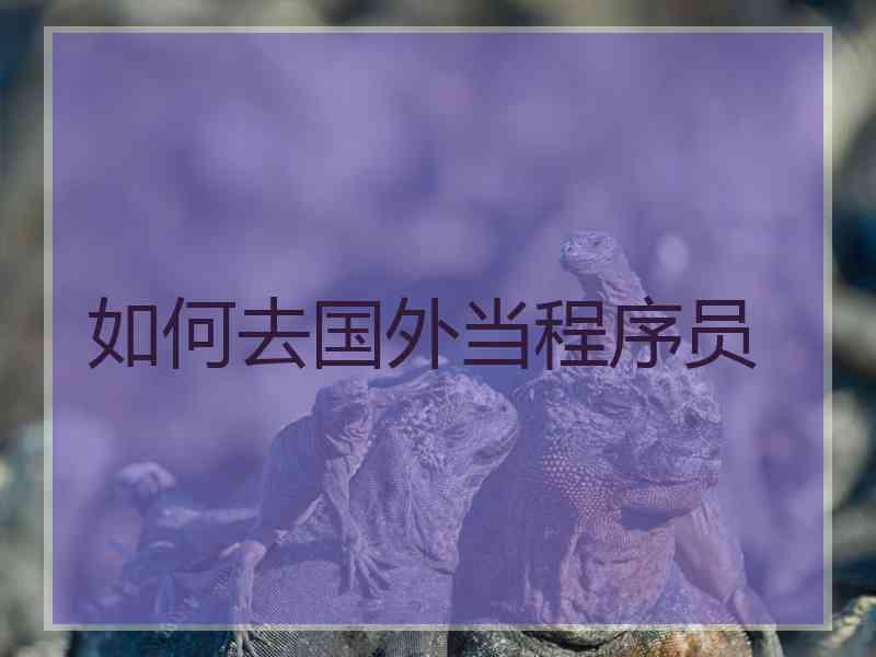 如何去国外当程序员