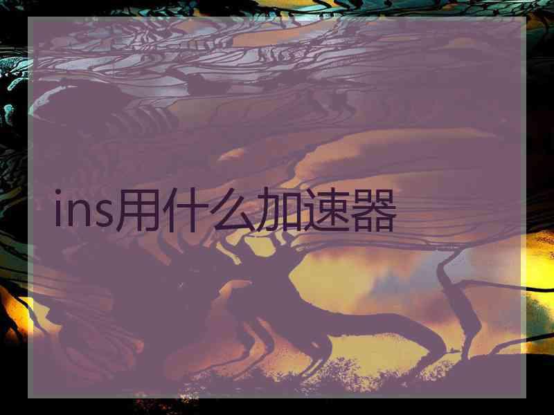ins用什么加速器