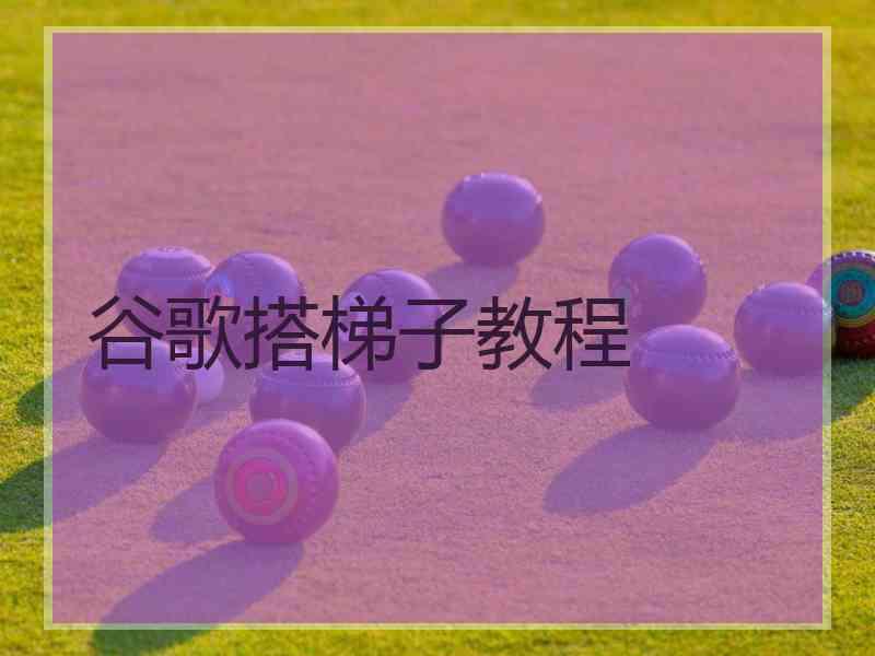 谷歌搭梯子教程