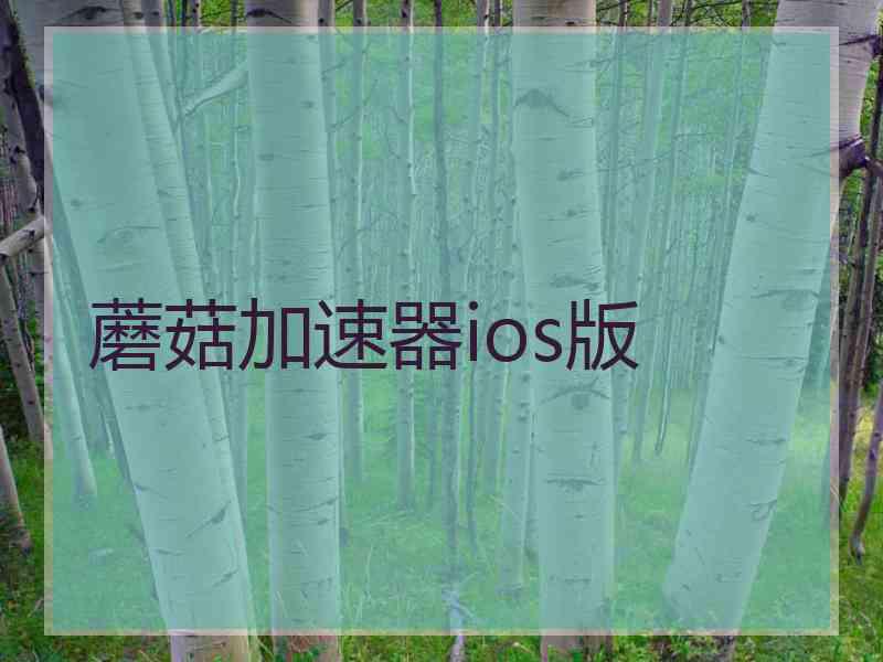 蘑菇加速器ios版