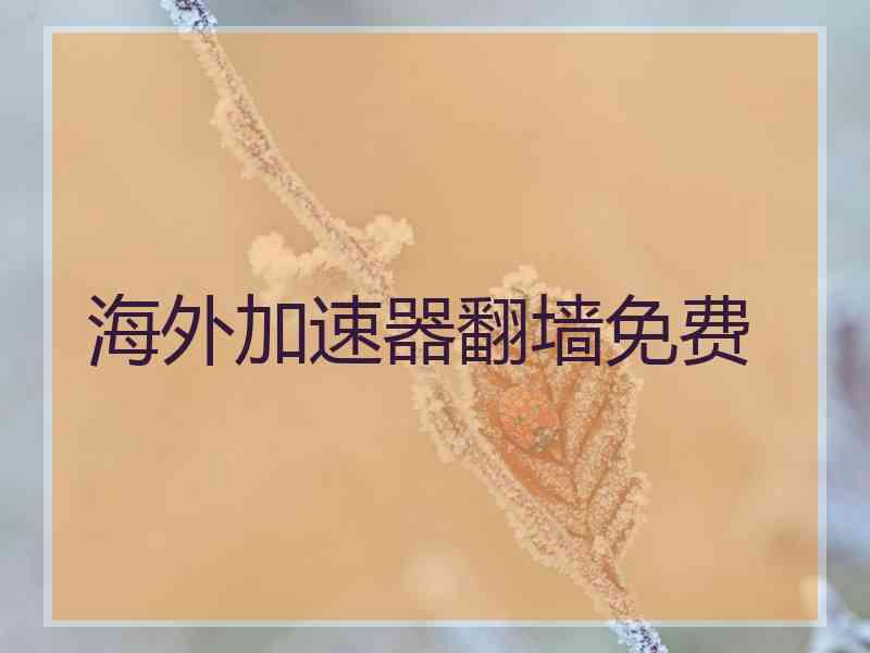 海外加速器翻墙免费
