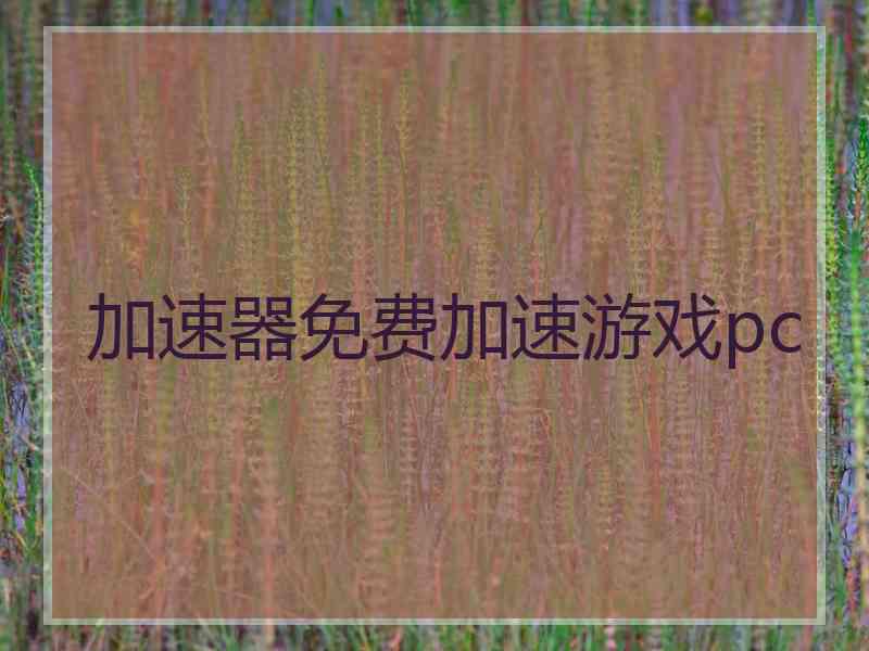 加速器免费加速游戏pc