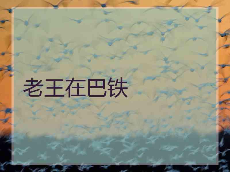 老王在巴铁