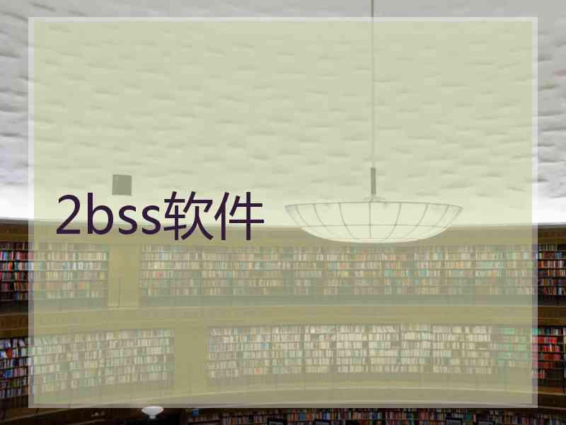 2bss软件