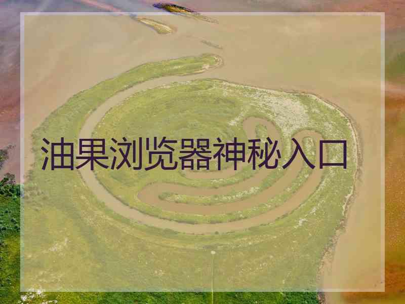 油果浏览器神秘入口