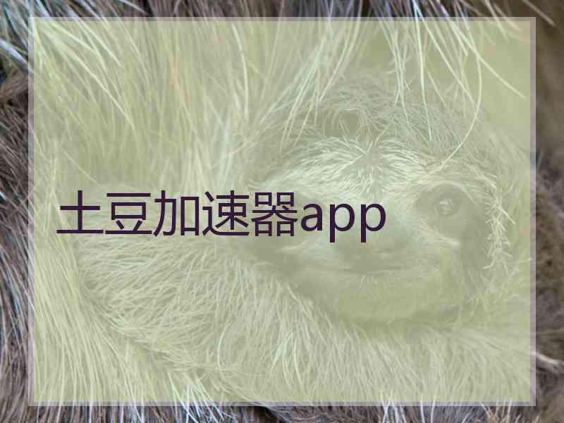 土豆加速器app