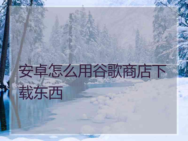 安卓怎么用谷歌商店下载东西