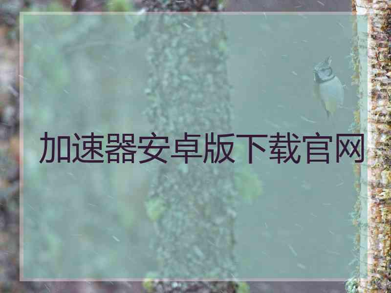 加速器安卓版下载官网