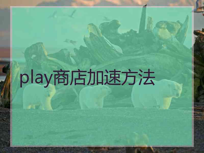 play商店加速方法