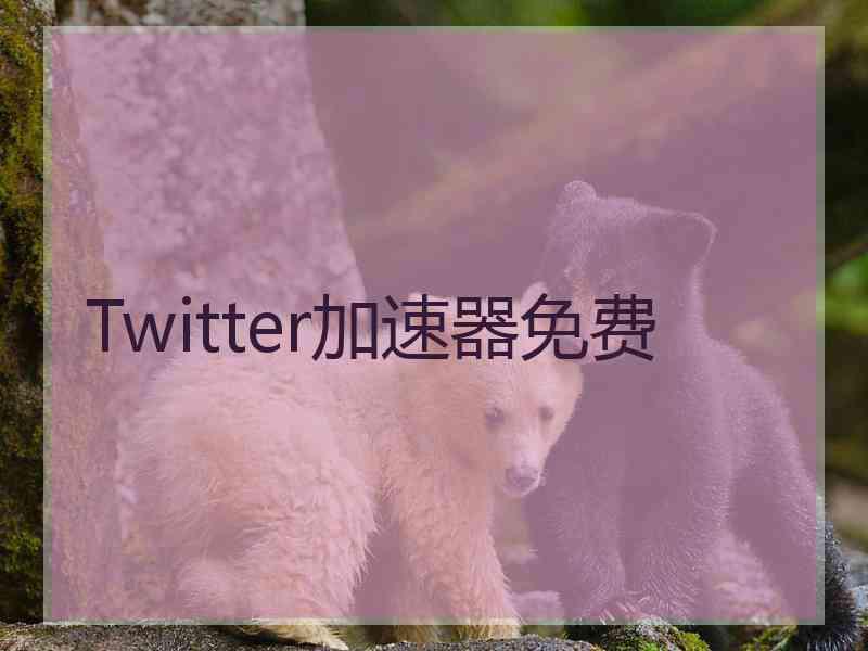 Twitter加速器免费