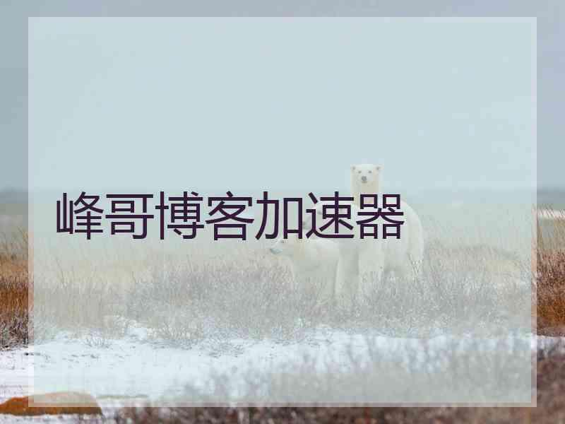 峰哥博客加速器