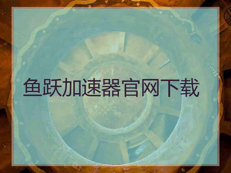 鱼跃加速器官网下载