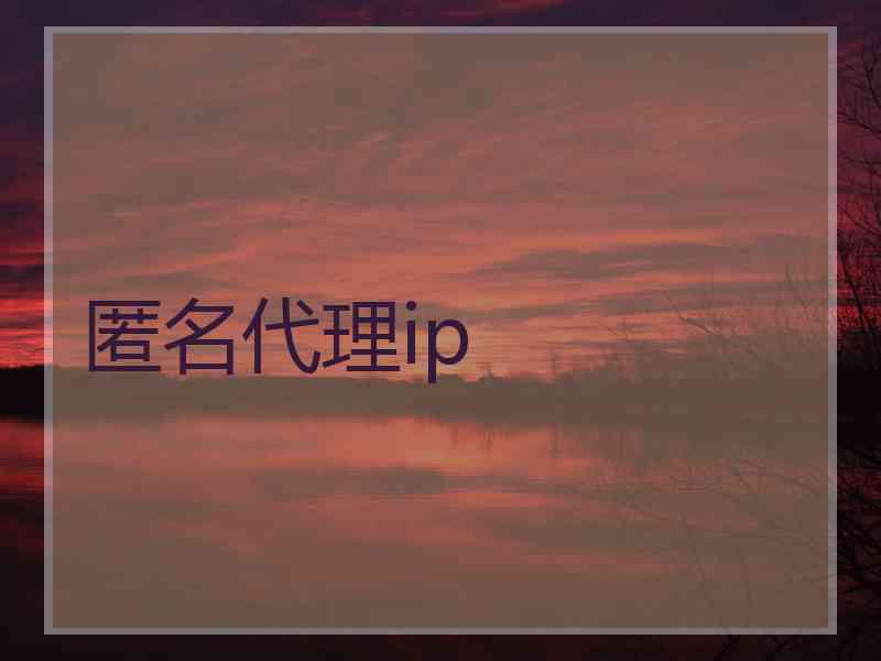 匿名代理ip