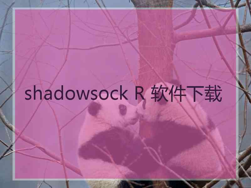 shadowsock R 软件下载