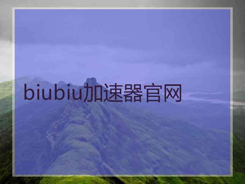 biubiu加速器官网