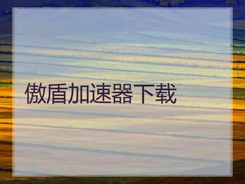 傲盾加速器下载