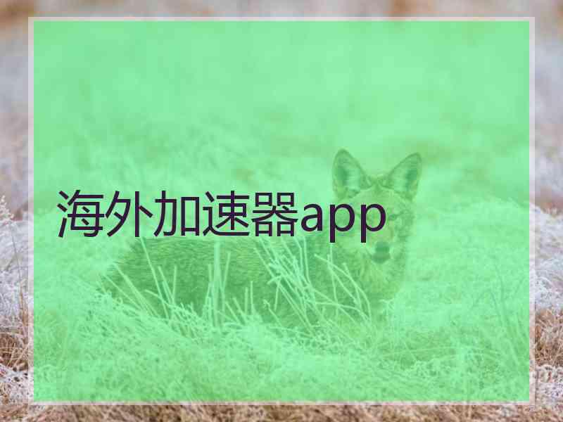海外加速器app