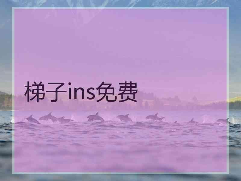 梯子ins免费