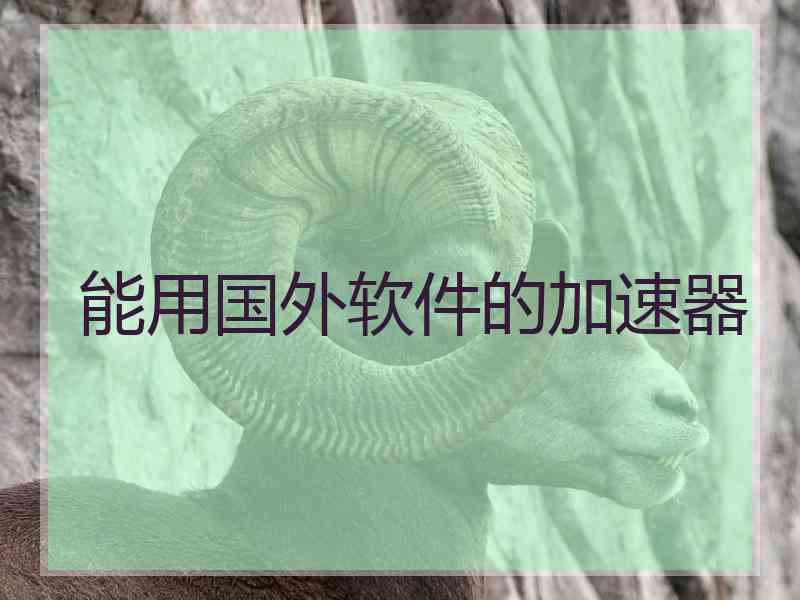 能用国外软件的加速器