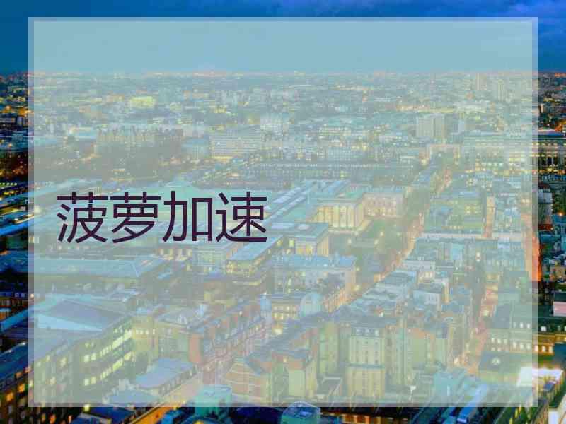 菠萝加速